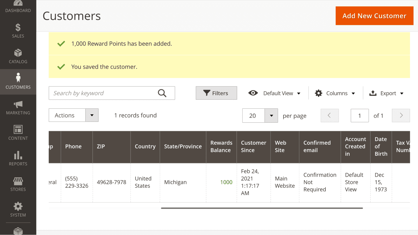 Customer Points Balance