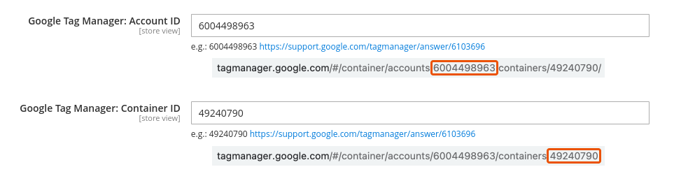 Google Tag Manager Account ID and Container ID