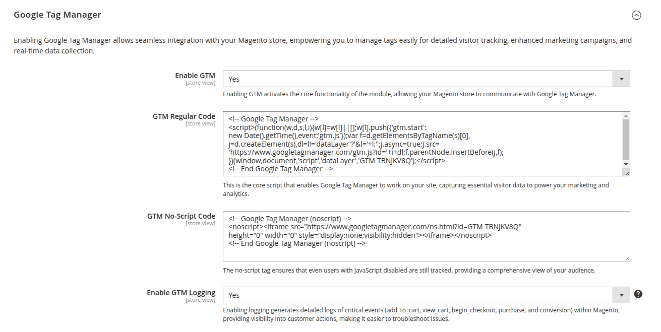 Google Tag Manager settings