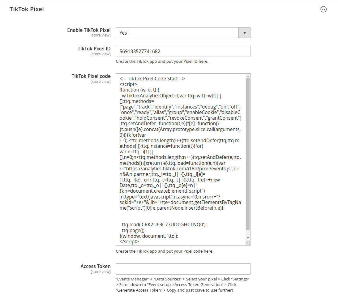 TikTok Pixel settings