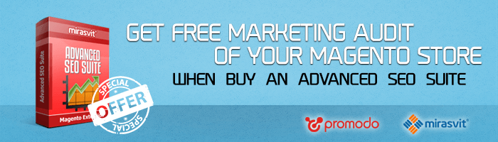 Want a Free Marketing Audit of your Magento Store – buy Advanced SEO Suite!