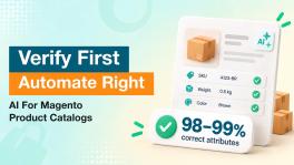AI for Magento Product Catalog