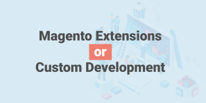 Magento Custom Development vs Extensions: Which Is Right for Your Store?