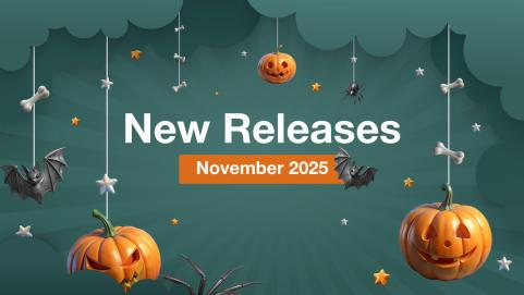 Mirasvit Latest Updates — November 202