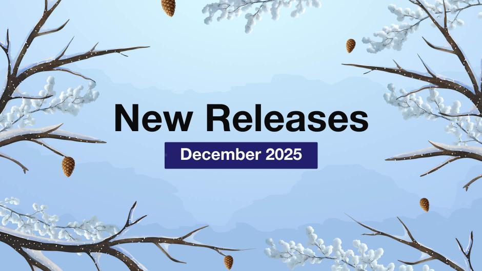 Mirasvit  New Releases — December 2025