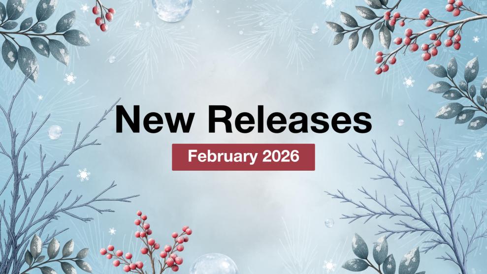 Mirasvit Latest Updates — February 2026