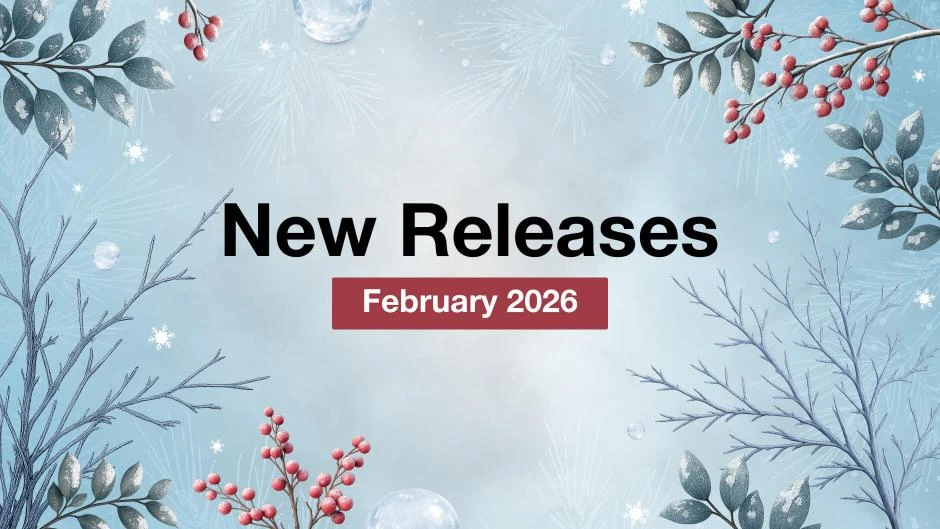 Mirasvit Latest Updates — February 2026