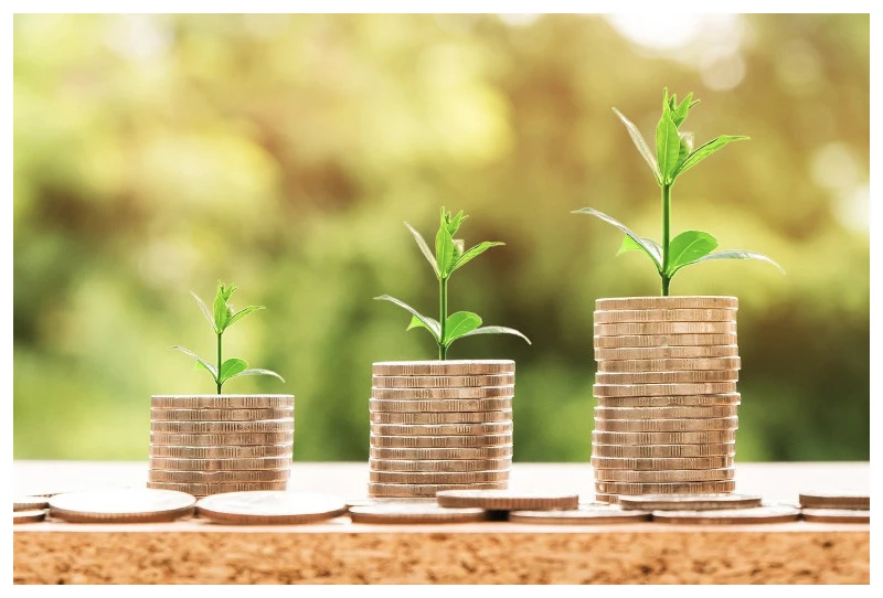 Three stacks of coins with a sprout on top of each
