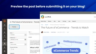 Preview a post before you publish it