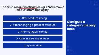 dynamic category import and export