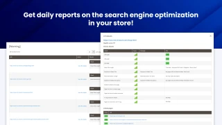SEO Audit report