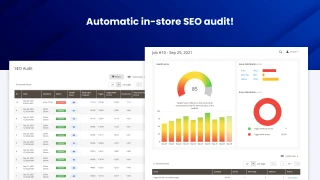 SEO Audit