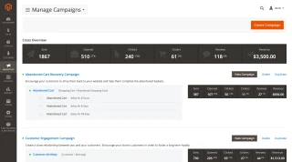 Manage campaigns: sent, opened, clicked, orders, reviews and revenue