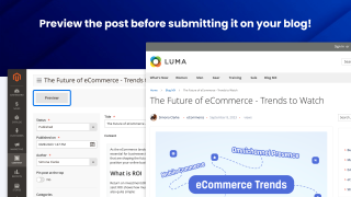 Preview a post before you publish it