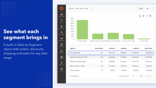 Sales by segment report