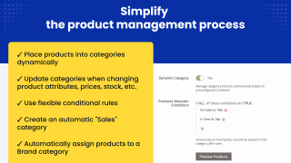 Turn a category dynamic and set its conditions