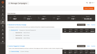 Manage campaigns: sent, opened, clicked, orders, reviews and revenue