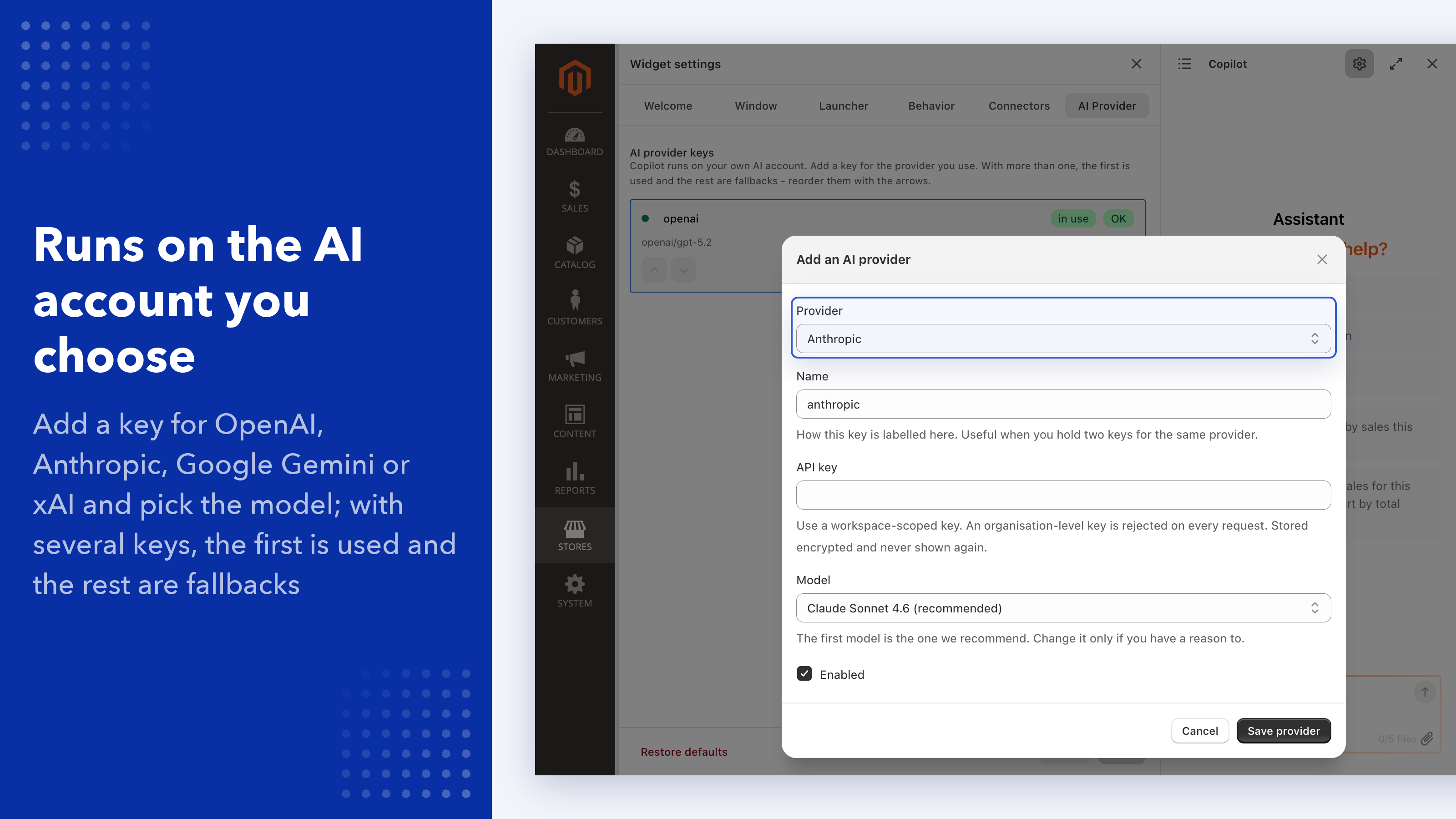 AI Provider settings: OpenAI, Anthropic, Google Gemini or xAI key, model choice and fallback order