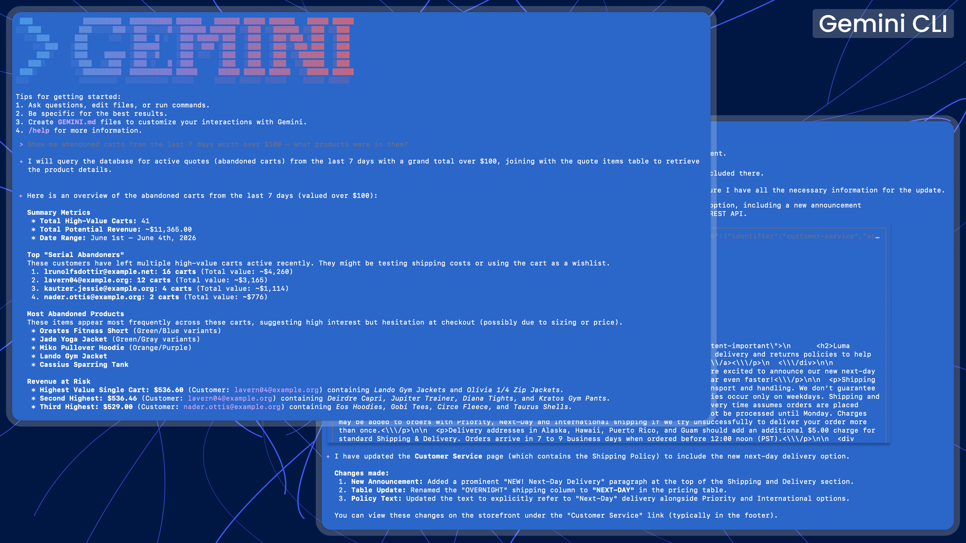 Magento 2 Gemini CLI MCP