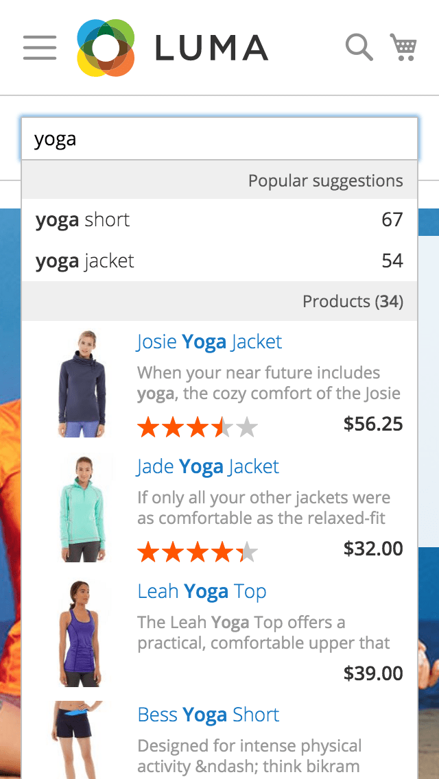 Mobile-friendly search results